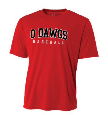 REQUIRED - Short Sleeve Player Practice Set (red/white 2-pack)